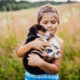 Animali – Bambina che abbraccia cane
